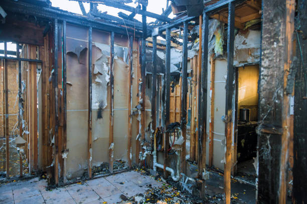Professional Smoke Damage Removal technician working in Rose Hill, NC